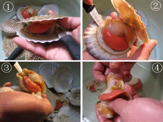 如何游潛泳_游泳潛水技巧_潛海季游泳技巧